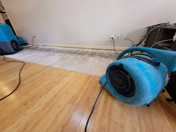Professional Water Removal technician working in Pullman, MI